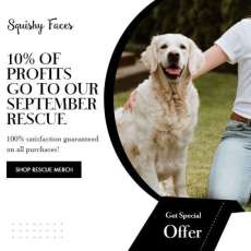 Gifts For Dog Lovers