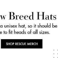 Halloween Pet Safety Tips