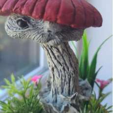 Mr. Shroom