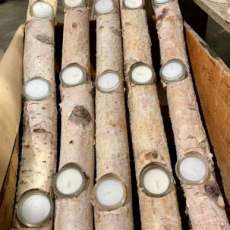 30' Birch Pole Tea Light