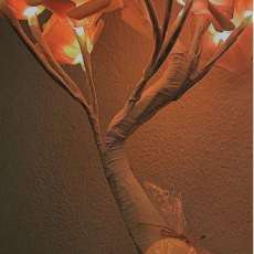 Moisturizing Bathbombs