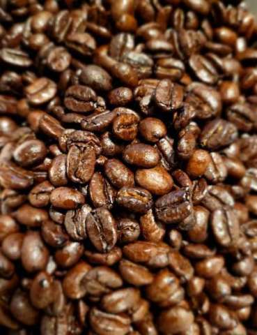 Arabica vs. Robusta