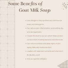 Benefits of Goat Milk Soap
