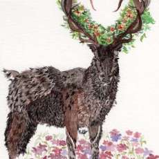 Spring Stag