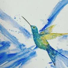 Hummingbird