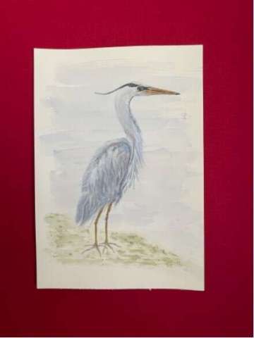 Blue Heron