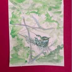 Hummingbird in a Nest