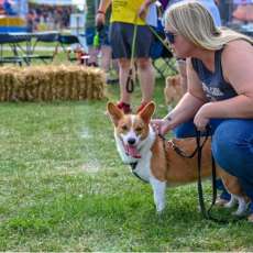 Little Leg Races at Das Fest