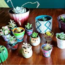 Handpainted Succulent Pots