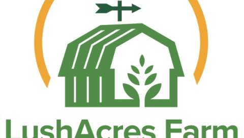 LushAcres Fall Festival and Corn Maze