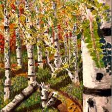 “Birch Tree Forest”