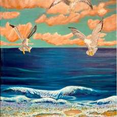 “Plight of the Starfish”