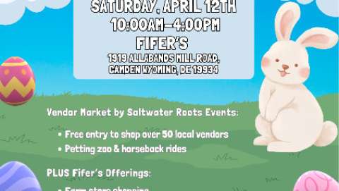 Spring Fling at Fifers