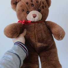 Monstrous Teddy Bear