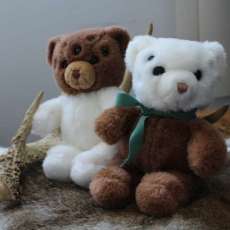 Monstrous Teddy Bear Twins