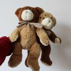 Monstrous Teddy Bear Twins