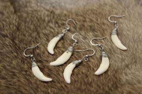 Coyote Fang Earrings