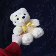 Monstrous Teddy Bear