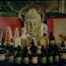 Magikal Botanical Herbals