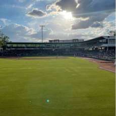 Minor League Baseball, Augusta Green Jackets