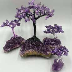 Amethyst Trees