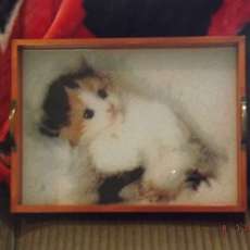 Pretty Kitty Serving Tray