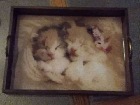Cute Kittens Serving Tray