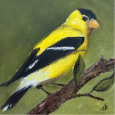 Goldfinch Perched