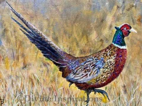 Pheasant on the Grass