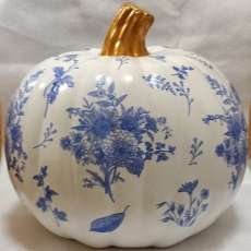 Blue and White Pumpkin