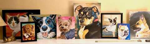 Assortment of Pet Portrait Paintings