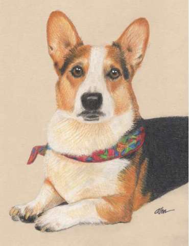 Scooter Dog Portrait - Colored Pencils
