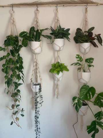 Plant Hangers