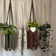 Fringe Macrame Plant Hangers