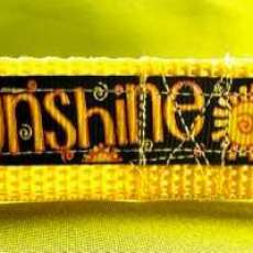 You Are My Sunshine 5/8 Inch Collar