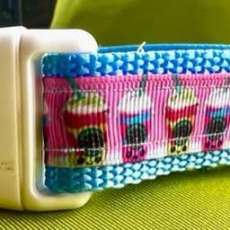 Starbucks Pink 1 Inch Collar