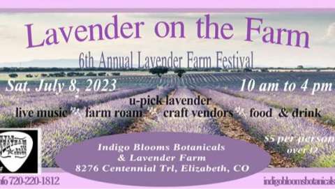 Sixth Indigo Blooms Lavender Festival