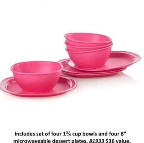 Tupperware Legacy Small Bowl and Dessert Plate Set Pink