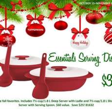 Red Essentials Serving Set