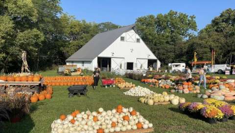 Douglas Beckman Douglas Beckman