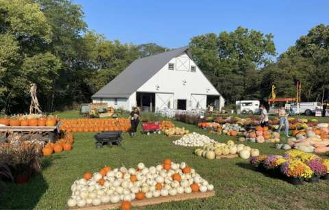 Douglas Beckman Douglas Beckman