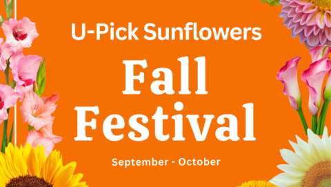 Fall Flower Festival