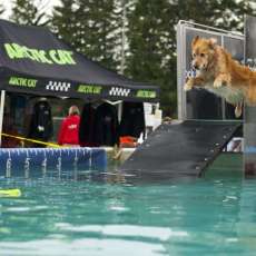 Ontario DockDogs Competition