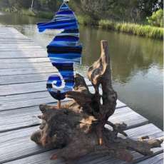 Seahorse in Driftwood