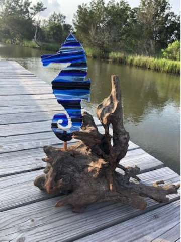 Seahorse in Driftwood
