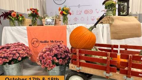 Mollie McGee's Fall Craft Market