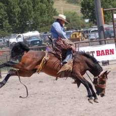 Saddle Bronc
