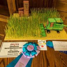 Toothpick Contest Entry