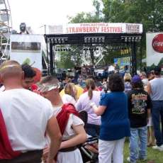 Drawing in the crowd Ponchatoula Strawberry Festival 2012