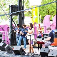 Ponchatoula Strawberry Festival 2010